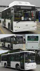 Jinlong  XMQ6820AGN5 City buses