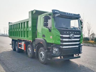 Hongyan  CQ3317ED12306 Dump truck