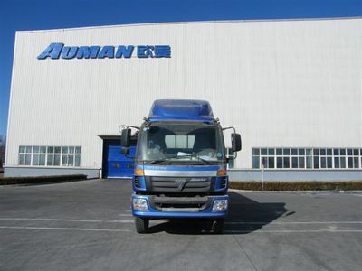 Ouman  BJ1163VKPHE1 Truck