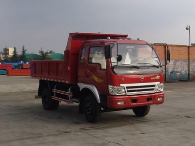 Dayun  CGC3042PV34E3 Dump truck