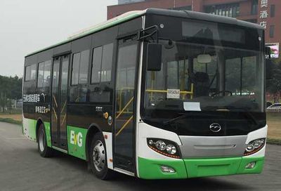 Wuzhoulong  FDG6851EVG7 Pure electric city buses