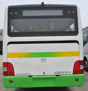 Wuzhoulong  FDG6851EVG7 Pure electric city buses