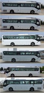 Yutong  ZK6116HFZ coach