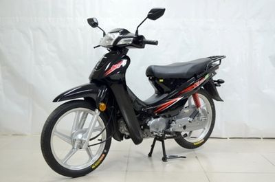 Dayang  DY1102N Two wheeled motorcycles