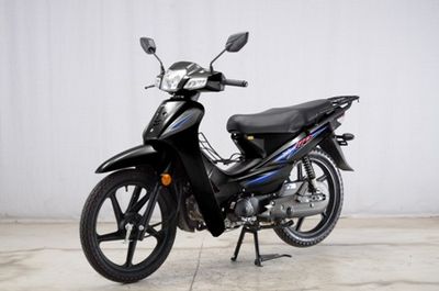 Dayang  DY1102N Two wheeled motorcycles