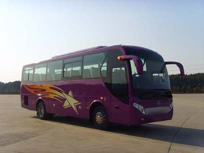 Hengshan  HSZ6108D coach