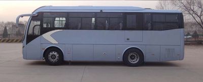 Jinlong  XMQ6871CYD4D coach