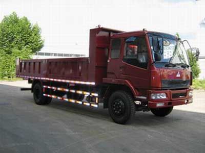 Dongfang Hongpai Automobile LT3165HBC1 Dump truck