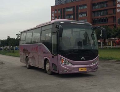 Wuzhoulong  FDG6850EV Pure electric passenger cars