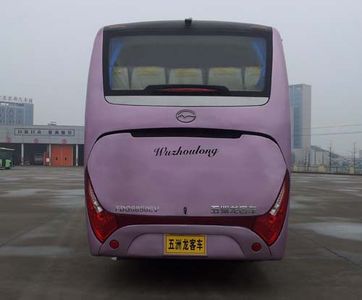 Wuzhoulong  FDG6850EV Pure electric passenger cars