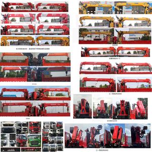 Companion Changxing  AAA5312JSQZZ6 Vehicle mounted lifting and transportation vehicle