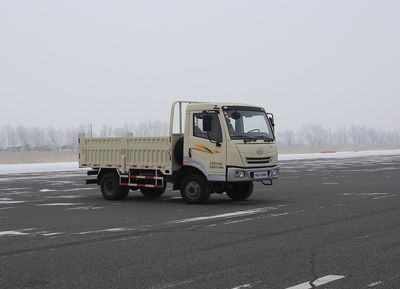 Jiefang Automobile CA3060P20K45L2T5E4 Off road dump truck