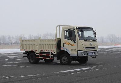 Jiefang Automobile CA3060P20K45L2T5E4 Off road dump truck