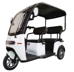 Emma  AM1000DZK19N Electric tricycle