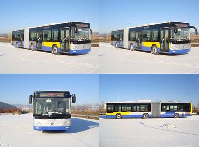 Foton  BJ6160C6CCD City buses