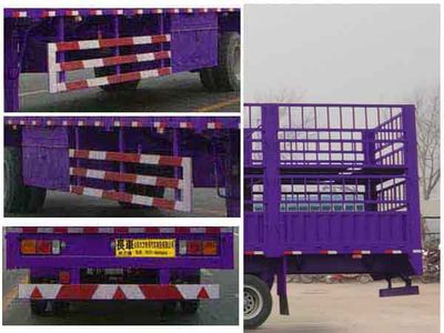 Xiangli  XLZ9121TCL Vehicle transport semi-trailer