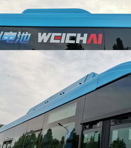 Zhongtong Automobile LCK6126FCEVGW1 Fuel cell low entry city buses