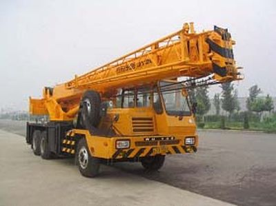 Dongyue  TA5253JQZQY20D Car crane