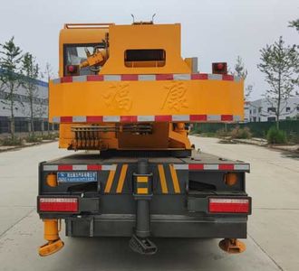 Ruili Star  RLQ5090JQZZB6 Car crane