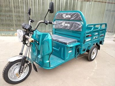 Pigeon racing star  SG1500DZH7 Electric tricycle