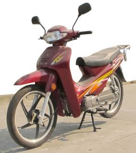 Riya  RY48Q11 moped with two wheels 