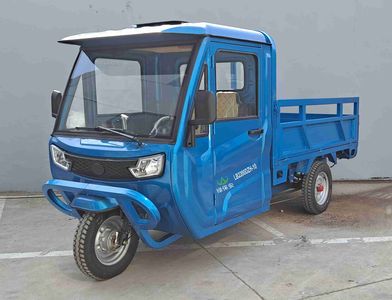 Green Security Car LB2200DZH10 Electric tricycle