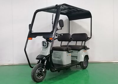 Little Bird XN1500DZK3V Electric tricycle