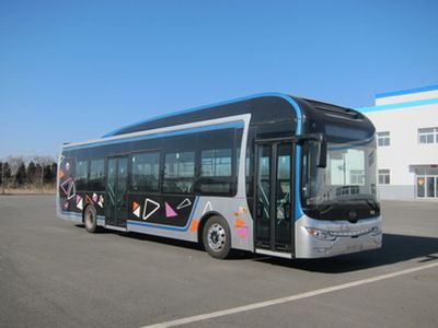 Huanghai  DD6129EV19 Pure electric city buses