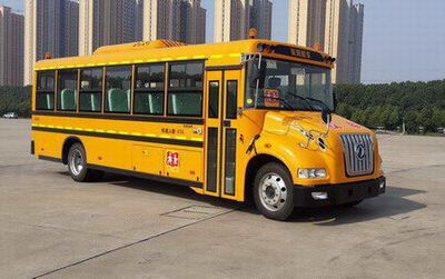 Dongfeng  DFH6920B School buses exclusively for primary and secondary school students