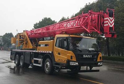 Sany  SYM5316JQZSTC250T4 Car crane