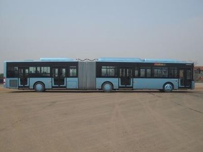 Youth  JNP6180GVC Luxury City Bus