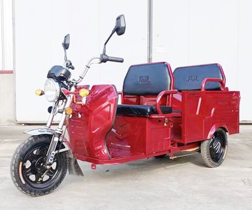 Jinpeng  JP1500DZK21B Electric tricycle