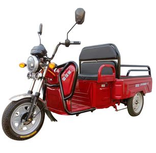 Thunder Emperor LTH1500DZH3 Electric tricycle