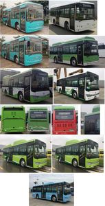 Jinlong  XMQ6850AGCHEVN56 Plug in hybrid urban buses