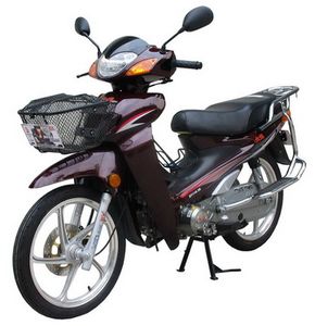 Dayun DY1103KTwo wheeled motorcycles