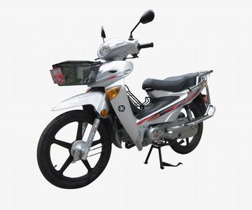 Dayun  DY1103K Two wheeled motorcycles