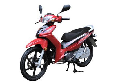 Dayang  DY11028A Two wheeled motorcycles