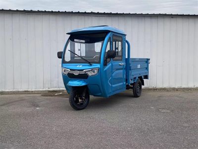 Dajiang  DJ1500DZH5 Electric tricycle