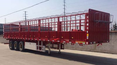 Tongguang Kyushu  MJZ9371CCY Gantry transport semi-trailer