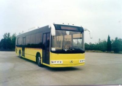 Jinlong  XMQ6120G Large luxury city buses