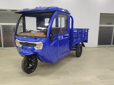 Mingxin  MX1200DZH10 Electric tricycle