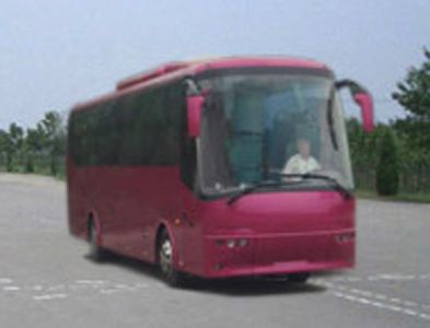 Zhongtongbo licensed automobile LCK6122W2 Sleeper coach