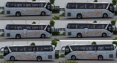 Weilin  SQR6110HDB coach