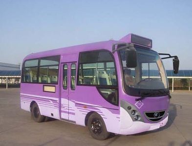 Lingyu  CLY6600ECNG Light Bus