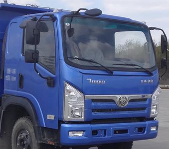 Shitong  STQ3161L4Y34 Dump truck