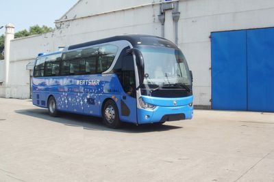 Yaxing  YBL6905H2QCP coach