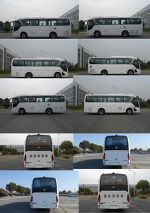 Yaxing  YBL6905H2QCP coach