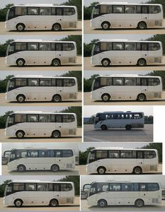 Jinlong  XMQ6898AYD5C coach