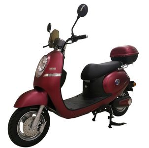 Europa  OP600DQT2 Electric two wheeled light motorcycle