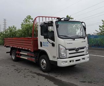 Shitong  STQ1049L02Y1NBEV5 Pure electric freight vehicles